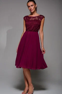 Jolie Moi Occasion Dresses|Mother Of The Bride-Cindy Lace Bodice Pleated Dress, Burgundy