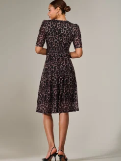 Jolie Moi Occasion Dresses|Mesh Dresses-Mesh Half Sleeve Midaxi Dress, Brown Leopard