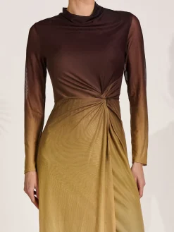Jolie Moi Occasion Dresses|Mesh Dresses-Petite Long Sleeve Mesh Maxi Dress, Brown Multi