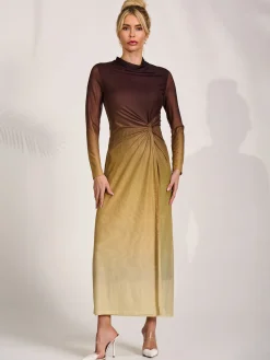 Jolie Moi Occasion Dresses|Mesh Dresses-Petite Long Sleeve Mesh Maxi Dress, Brown Multi