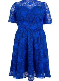 Jolie Moi Occasion Dresses|Mother Of The Bride-Plus Size Flare Sleeve Belted Lace Dress, Royal Blue