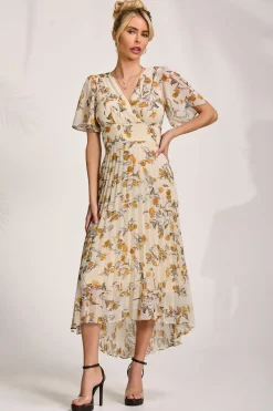 Jolie Moi Occasion Dresses|Floral Dresses-Printed Chiffon Pleated Maxi Dress, Amber Floral