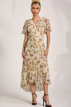 Jolie Moi Occasion Dresses|Floral Dresses-Printed Chiffon Pleated Maxi Dress, Amber Floral