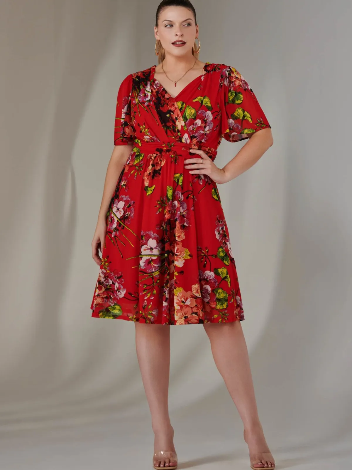 Jolie Moi Mesh Dresses|Weekend Casuals-Print Mesh Flare Dress, Red Floral
